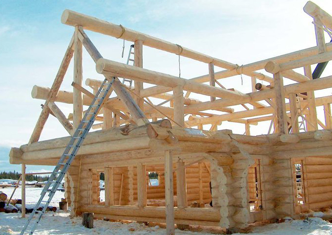 Handcrafted Log Home Kit
