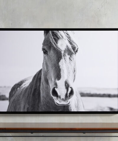 Framed Horse Print | Black & White Horse Print | Horse Art