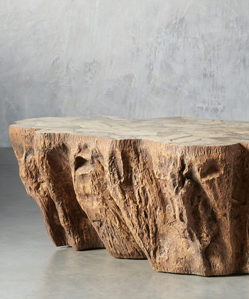 Clayhill Petrified Wood Coffee Table
