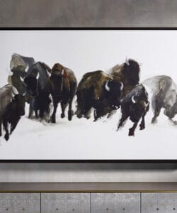 Framed Buffalo Print | Canvas Featuring Herd of Buffalo