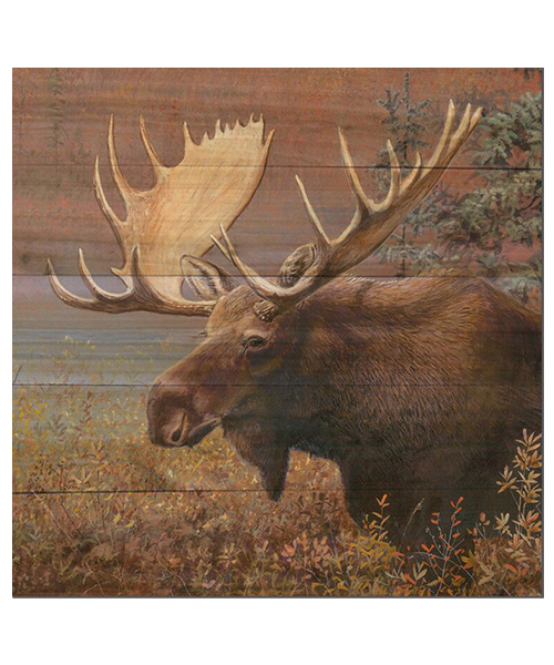 Moose Print