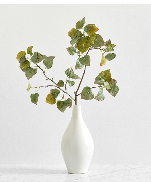 Autumn Aspen Tree Branch